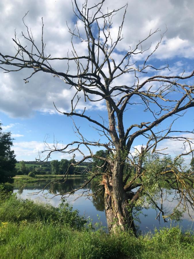 Idyllische Ferienwohnungen In Mossendorf Burglengenfeld Buitenkant foto